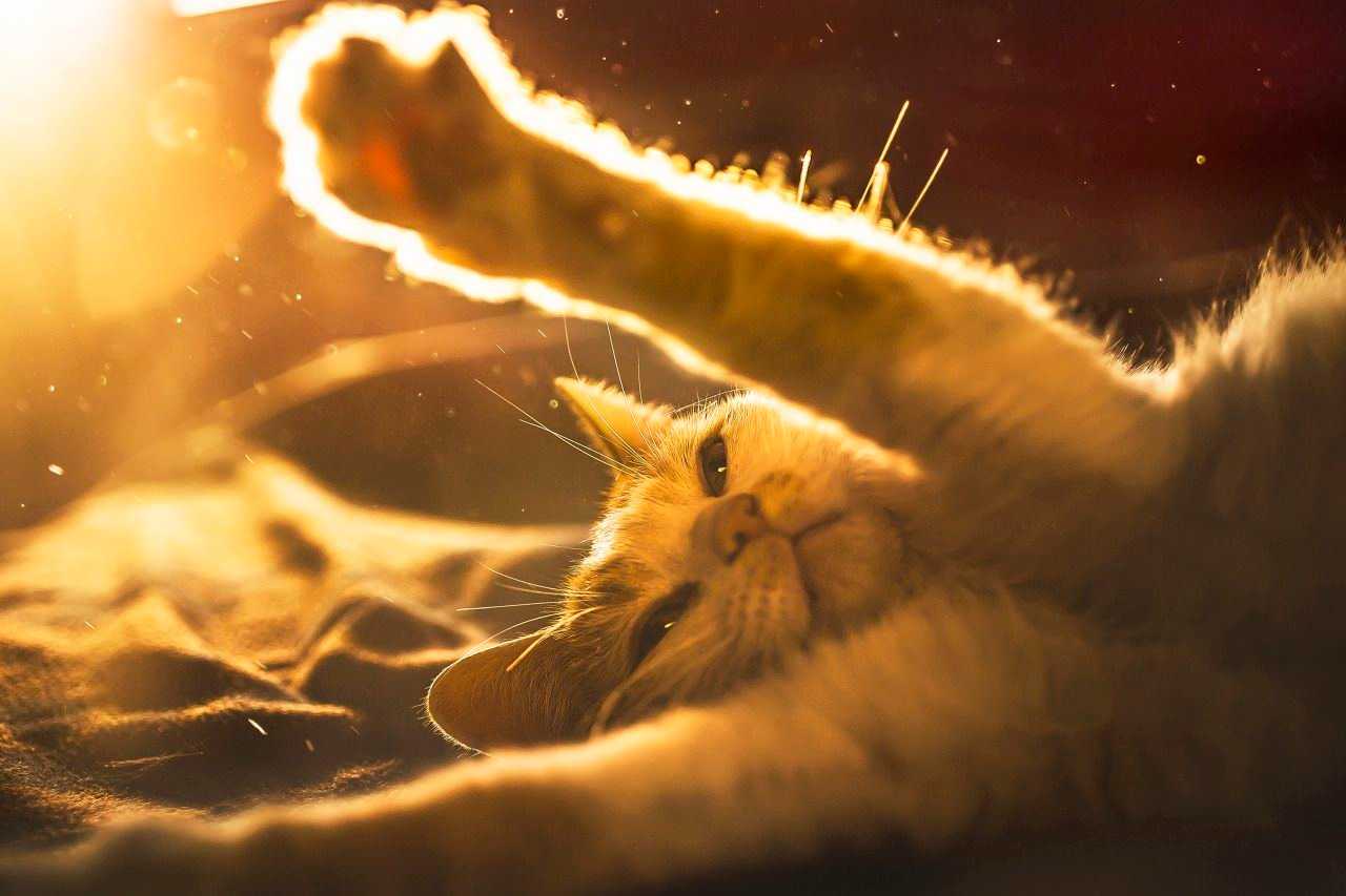 tumblr_o769th84wZ1syln3no1_1280