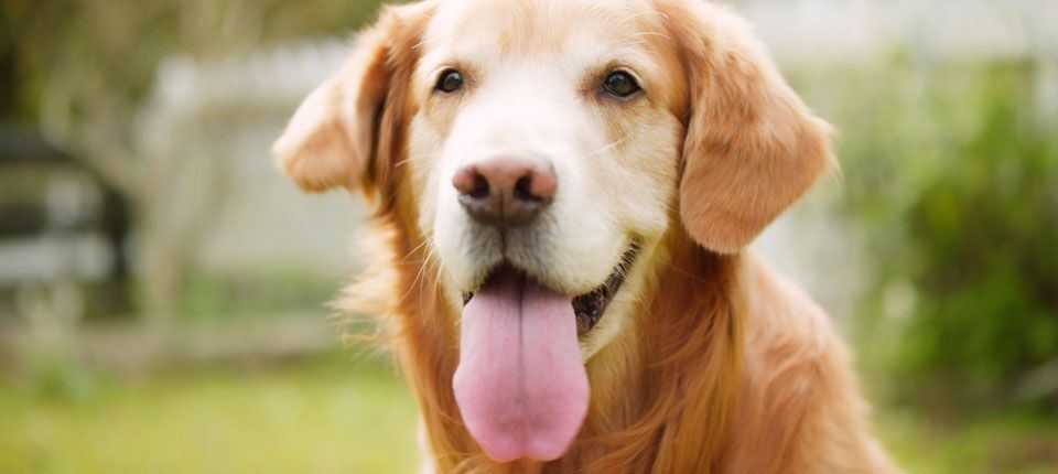 商業攝影案例｜告別是宣傳影片