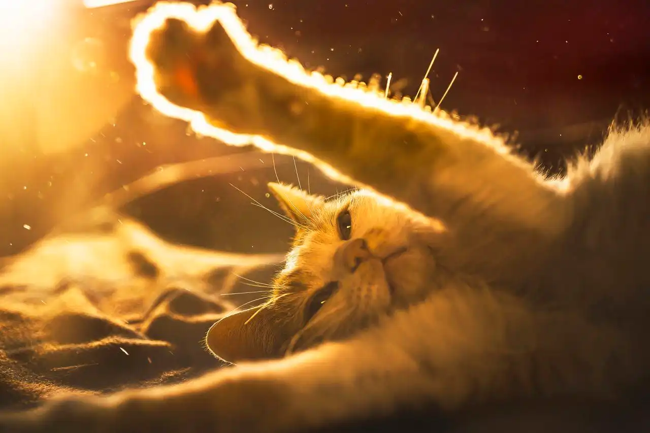 tumblr_o769th84wZ1syln3no1_1280