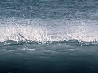 CICADA </br>Ocean Foam