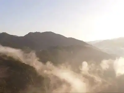 O-Life<br/>Organic Tea<br/>Marketing Film